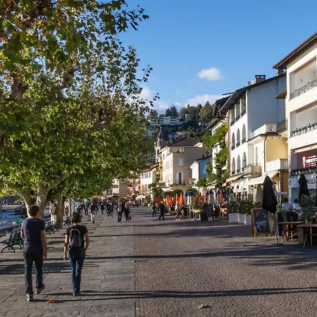 Charm - Happy * 阿斯科纳